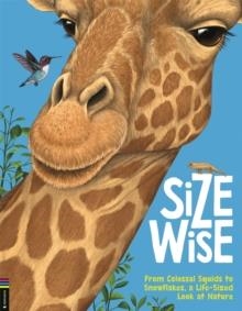 SIZE WISE : FROM COLOSSAL SQUIDS TO SNOWFLAKES, A LIFE-SIZED LOOK AT NATURE | 9781780558240 | CAMILLA DE LA BEDOYERE