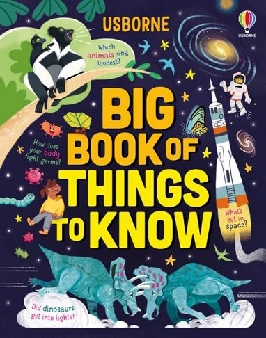 BIG BOOK OF THINGS TO KNOW : A FACT BOOK FOR KIDS | 9781805074113 | JAMES MACLAINE