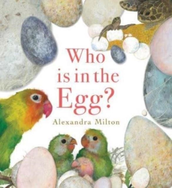 WHO IS IN THE EGG? | 9781914912016 | CONAN DOYLE, ARTHUR