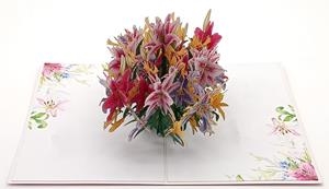 LIRIOS | 8436560042228