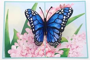 BLUETERFLY | 8436560042143