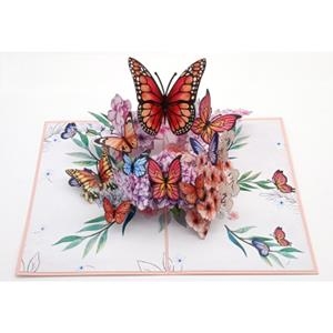 REVOLOTEO | 8436560042198