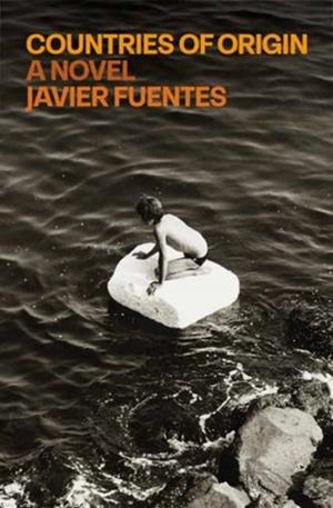 COUNTRIES OF ORIGIN | 9780593317587 | JAVIER FUENTES