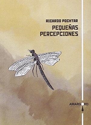 PEQUEÑAS PERCEPCIONES | 9788416762415 | POCHTAR, RICARDO