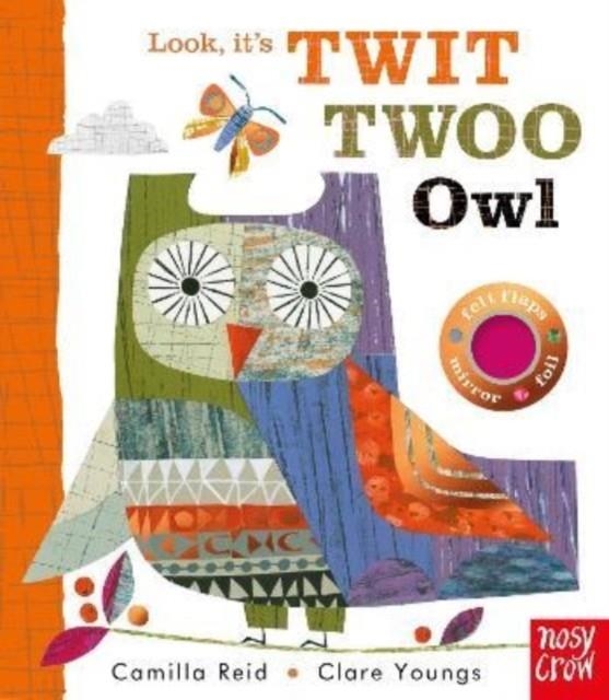 LOOK, IT'S TWIT TWOO OWL | 9781839943706 | CAMILLA REID