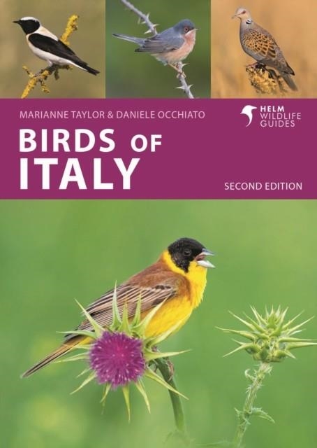 BIRDS OF ITALY | 9781399410649 | DANIELE OCCHIATO