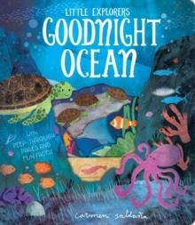 GOODNIGHT OCEAN | 9781912756148 | BECKY DAVIES