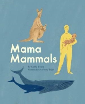 MAMA MAMMALS : REPRODUCTION AND BIRTH IN MAMMALS | 9781800660267 | CATHY EVANS