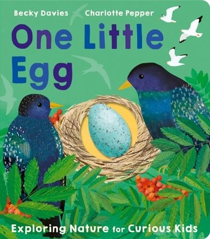 ONE LITTLE EGG | 9781801043236 | BECKY DAVIES