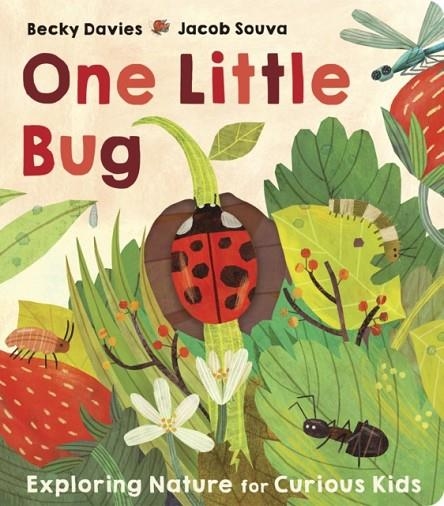 ONE LITTLE BUG | 9781801043281 | BECKY DAVIES