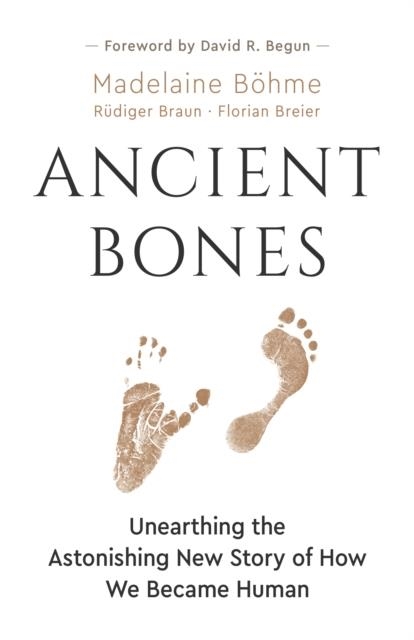 ANCIENT BONES : UNEARTHING THE ASTONISHING NEW STORY OF HOW WE BECAME HUMAN | 9781771647519 | MADELEINE BOHME