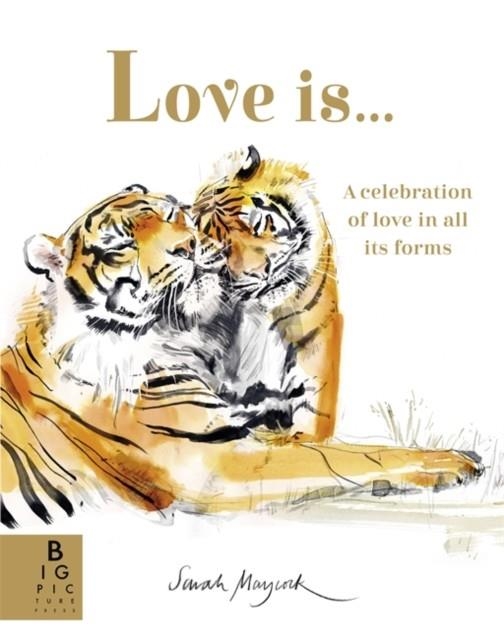 LOVE IS... : A CELEBRATION OF LOVE IN ALL ITS FORMS | 9781800787865 | LILY MURRAY