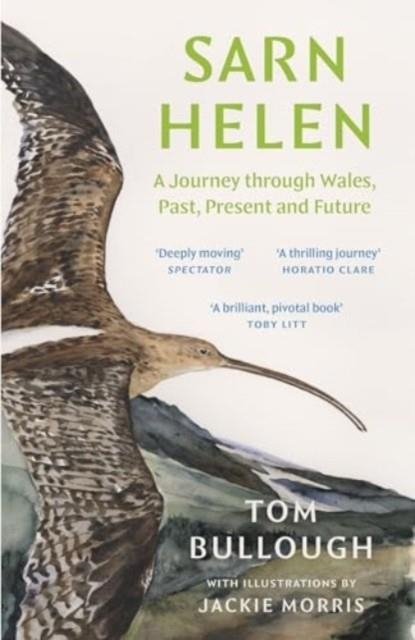 SARN HELEN : A JOURNEY THROUGH WALES, PAST, PRESENT AND FUTURE | 9781783788118 | TOM BULLOUGH