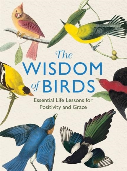THE WISDOM OF BIRDS : ESSENTIAL LIFE LESSONS FOR POSITIVITY AND GRACE | 9781915751140 | ALISON DAVIES