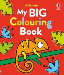 MY BIG COLOURING BOOK | 9781805311898 | KATE NOLAN