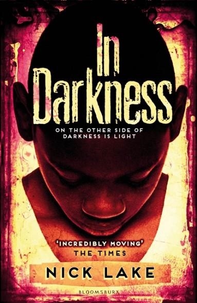 IN DARKNESS | 9781408819951 | NICK LAKE