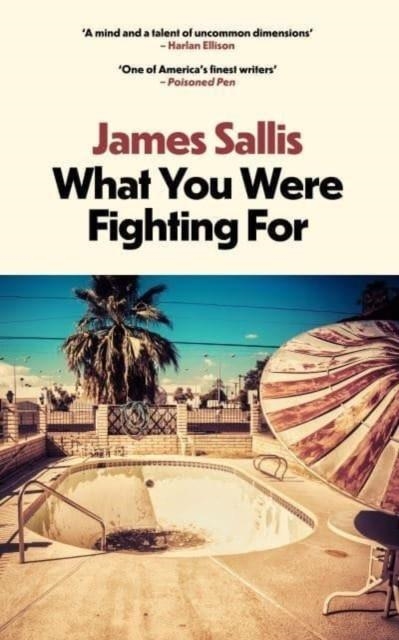 WHAT YOU WERE FIGHTING FOR | 9781915798503 | JAMES SALLIS