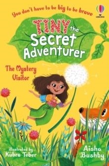 TINY THE SECRET ADVENTURER: THE MYSTERY VISITOR | 9781801314138 | AISHA BUSHBY