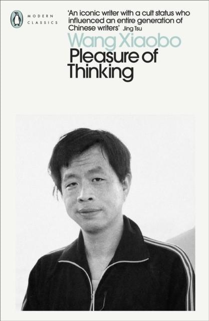 PLEASURE OF THINKING | 9780241633267 | WANG XIAOBO