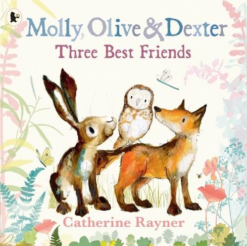 MOLLY OLIVE AND DEXTER: THREE BEST FRIENDS | 9781529517569 | CATHERINE RAYNER
