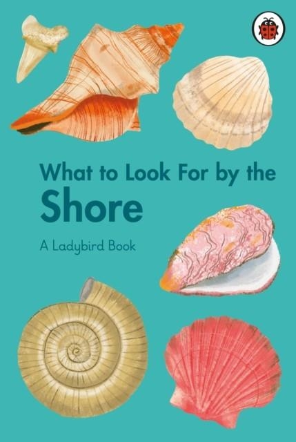 WHAT TO LOOK FOR BY THE SHORE | 9780241626139 | BECKY BROWN