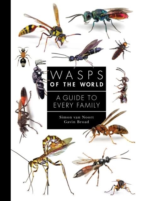 WASPS OF THE WORLD : A GUIDE TO EVERY FAMILY | 9780691238548 | SIMON VAN NOORT ; GAVIN BROAD