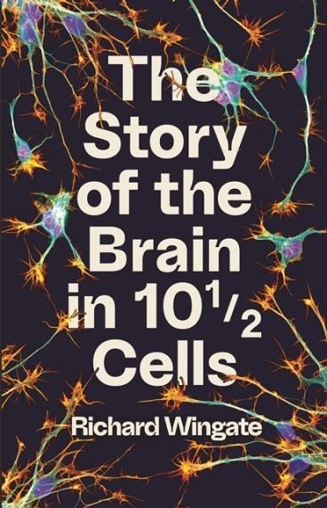 THE STORY OF THE BRAIN IN 10½ CELLS | 9781788162975 | RICHARD WINGATE