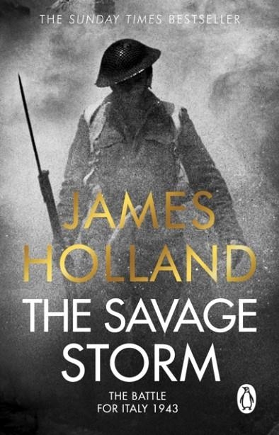 THE SAVAGE STORM | 9781804991404 | JAMES HOLLAND