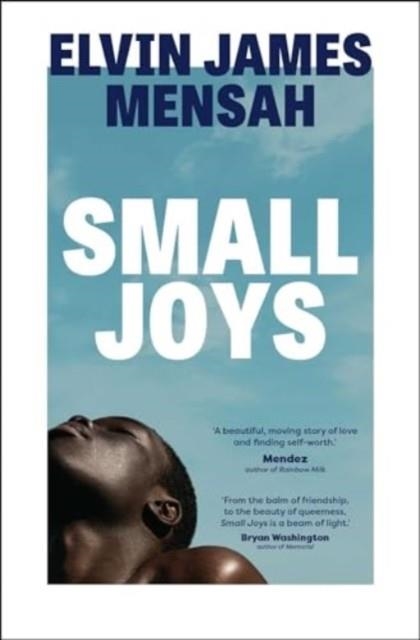 SMALL JOYS | 9781398514911 | ELVIN JAMES MENSAH