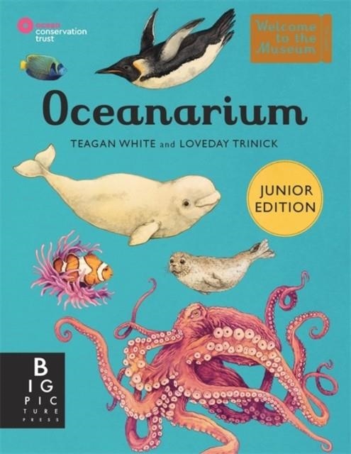 OCEANARIUM (JUNIOR EDITION) | 9781800784895 | LOVEDAY TRINICK