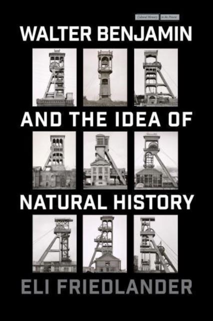 WALTER BENJAMIN AND THE IDEA OF NATURAL HISTORY | 9781503637702 | ELI FRIEDLANDER