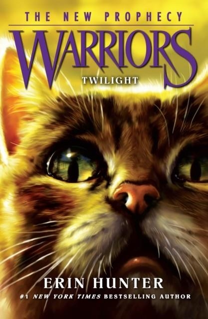 TWILIGHT : BOOK 5 | 9780007419265