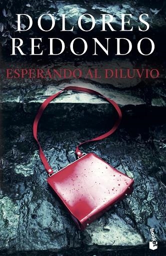 ESPERANDO AL DILUVIO | 9788423363797 | DOLORES REDONDO