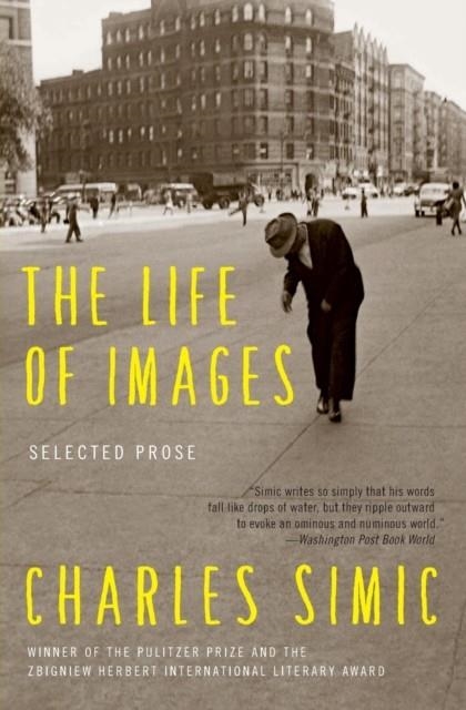 THE LIFE OF IMAGES | 9780062364739 | CHARLES SIMIC