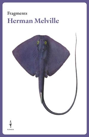 HERMAN MELVILLE - CAT | 9788409526567 | HERMAN MELVILLE