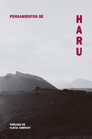 PENSAMIENTOS DE HARU | 9788418223495 | FLAVIA COMPANY