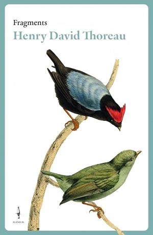 FRAGMENTS HENRY DAVID THOREAU - CAT | 9788409484263 | ENRY DAVID THOREAU