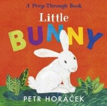 LITTLE BUNNY | 9781529517354 | PETR HORACEK