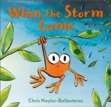 WHEN THE STORM CAME | 9781839132575 | CHRIS NAYLOR-BALLESTEROS