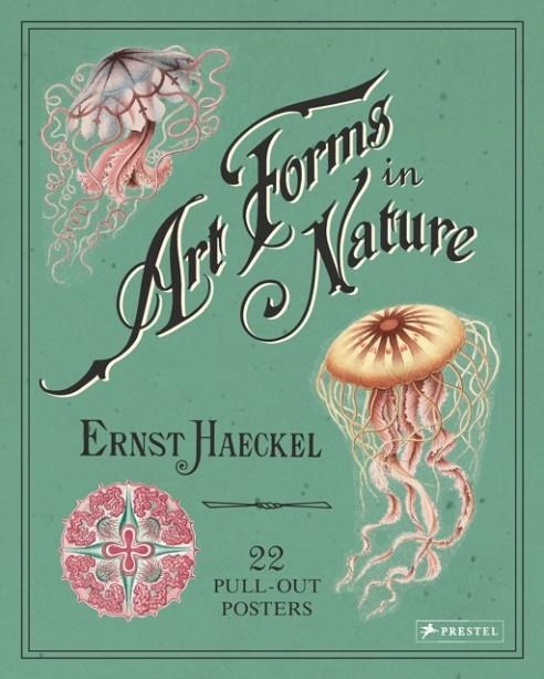 ERNST HAECKEL: ART FORMS IN NATURE: 22 PULL-OUT POSTERS | 9783791382630 | ERNST HAECKEL 