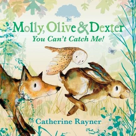 MOLLY, OLIVE AND DEXTER: YOU CAN'T CATCH ME! | 9781529501551 | CATHERINE RAYNER