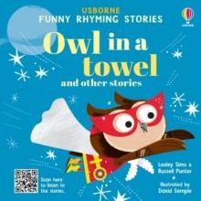 OWL IN A TOWEL AND OTHER STORIES | 9781805072737 | LESLEY SIMS
