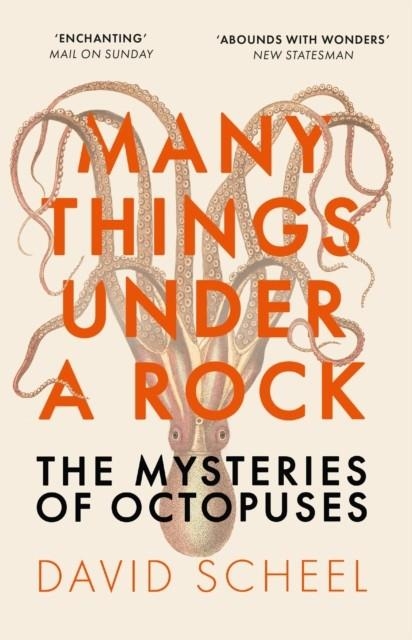 MANY THINGS UNDER A ROCK : THE MYSTERIES OF OCTOPUSES | 9781529392647 | DAVID SCHEEL
