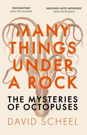 MANY THINGS UNDER A ROCK : THE MYSTERIES OF OCTOPUSES | 9781529392647 | DAVID SCHEEL