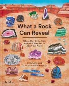 WHAT A ROCK CAN REVEAL | 9781838667894 | MAYA WEI-HAAS