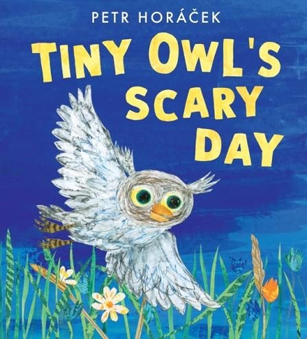 TINY OWL'S SCARY DAY (HB) | 9781529509274 | PETR HORACEK