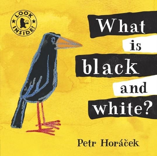 WHAT IS BLACK AND WHITE? | 9781406325126 | PETR HORACEK