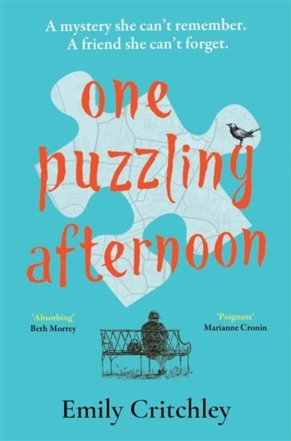 ONE PUZZLING AFTERNOON | 9781804181287 | EMMA CRITCHLEY