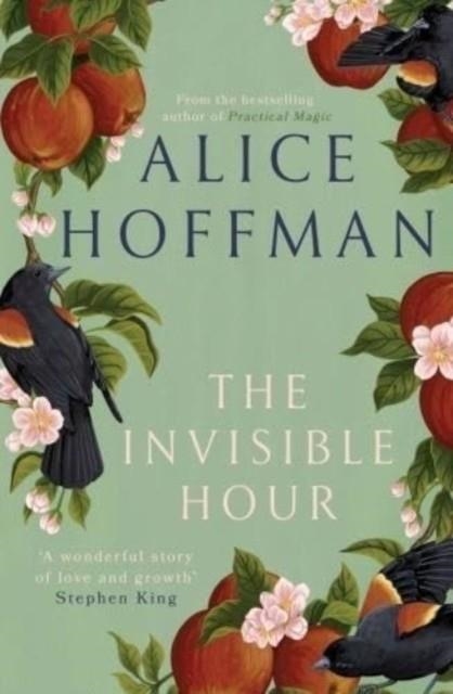 THE INVISIBLE HOUR | 9781398526211 | ALICE HOFFMAN