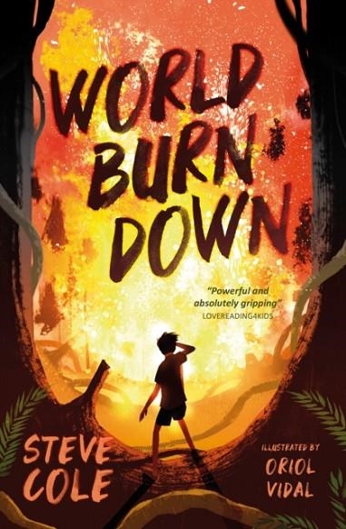 WORLD BURN DOWN | 9781781129463 | STEVE COLE